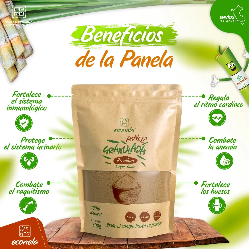 panela 2.webp